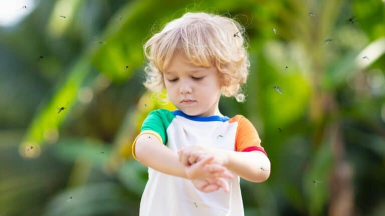 Les meilleurs anti-moustiques bébé