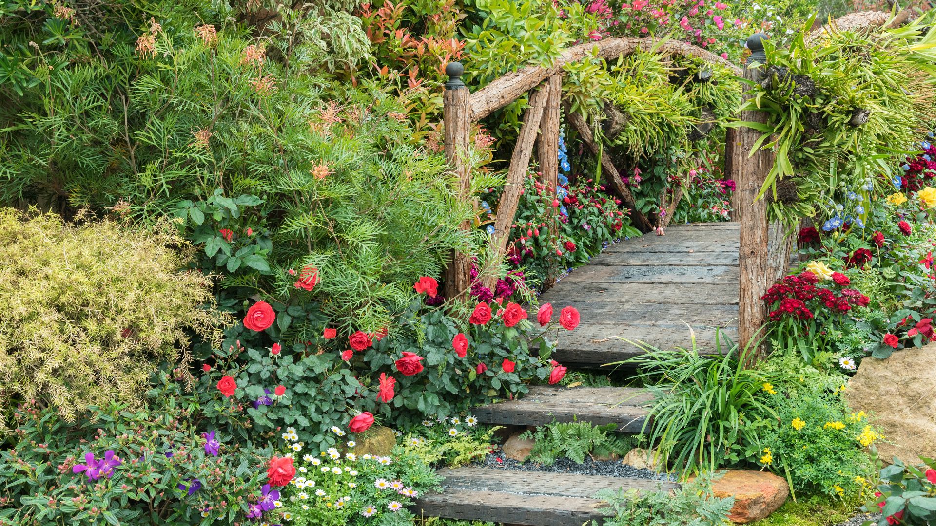 débutant jardin fleur