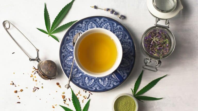 Comment faire une infusion de CBD ?