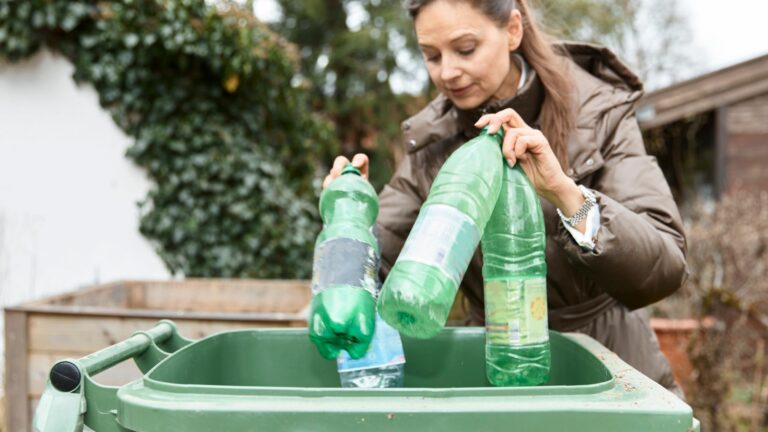 Recyclage: Importance, Procédure et Impact sur l’Environnement