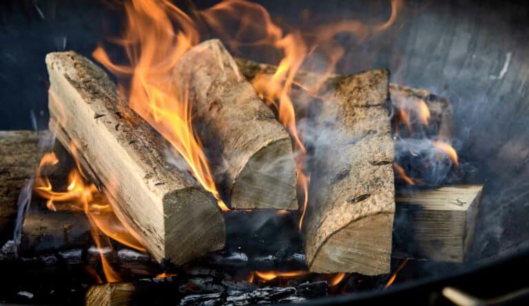 Les différents bois à éviter dans un feu de cheminée ou de poêle et ceux à privilégier