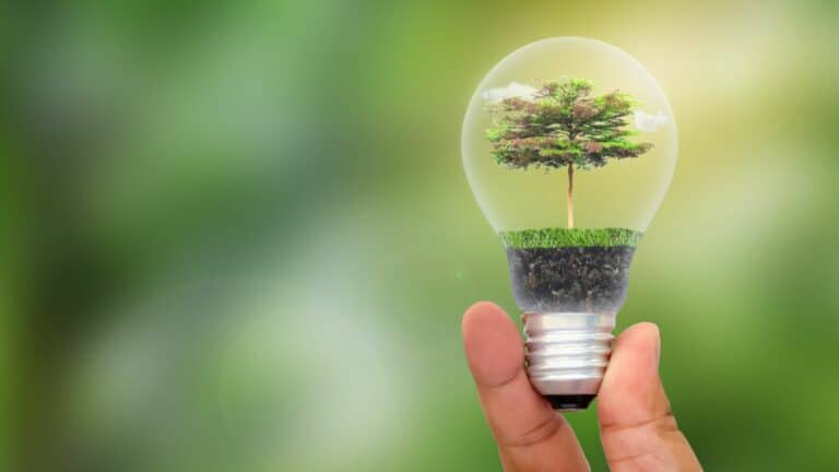 Quelles sont les différentes énergies vertes utilisées dans le monde ?