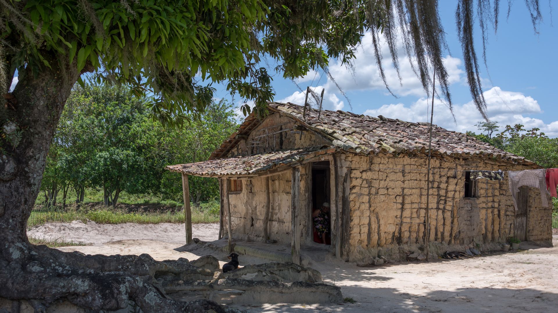 maisons en terre crue