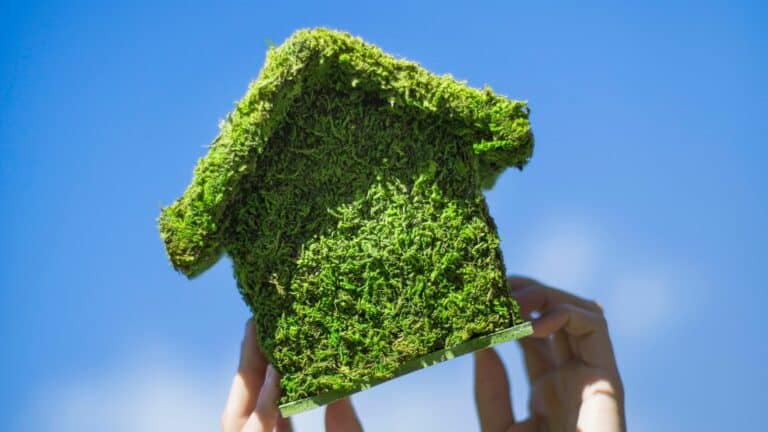 Top Matériaux Écologiques pour Construire une Maison Durable