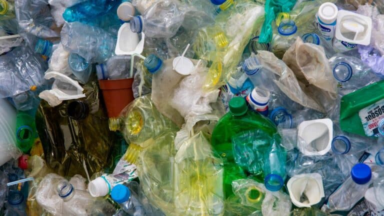 Tri des Déchets Ménagers: Recyclables vs Non Recyclables