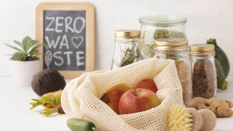 8 Conseils pour adopter un mode de vie zéro déchet dans votre maison