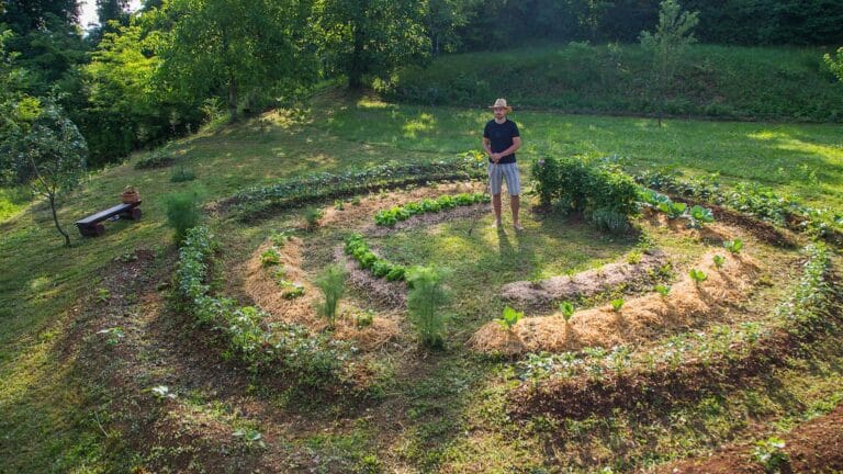 La permaculture au service de votre jardin : Un écosystème durable et productif à portée de main