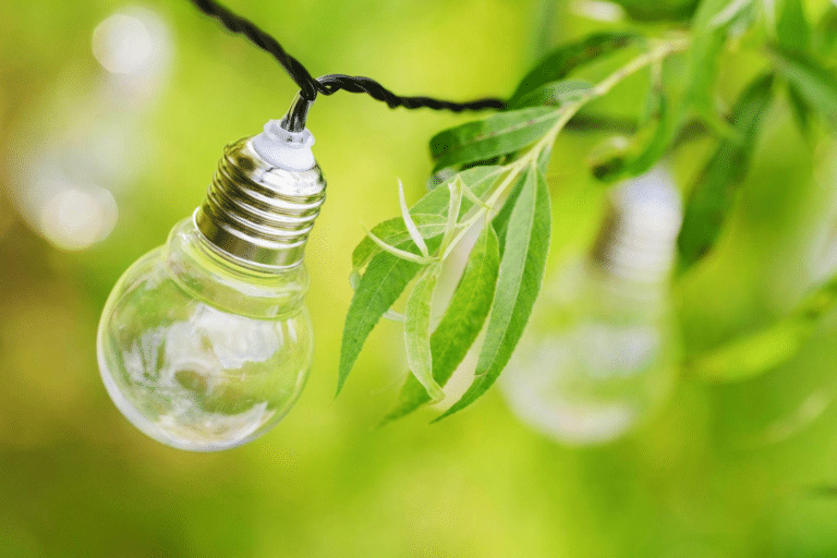 Pourquoi choisir un fournisseur d’électricité verte ?