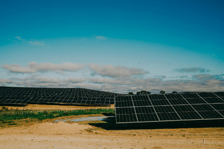 Les bases de l’agrivoltaïsme et pourquoi il est bénéfique pour la production d’électricité