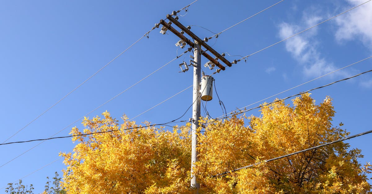 consultez votre facture d'électricité en ligne et apprenez à réduire vos dépenses énergétiques. suivez vos paiements et découvrez des astuces pour économiser sur vos factures d'électricité.