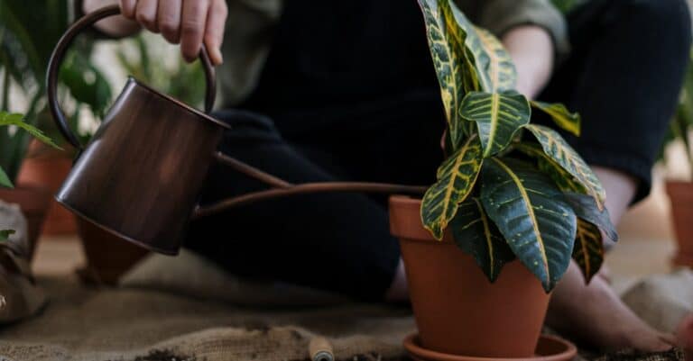 découvrez tous les secrets du jardinage d'intérieur avec nos conseils et astuces pour créer un espace verdoyant et accueillant dans votre foyer.