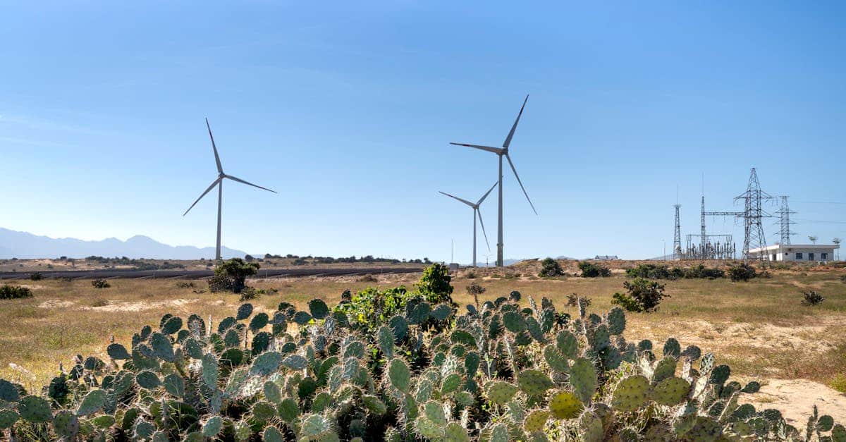 découvrez l'importance des ressources renouvelables pour l'avenir de notre planète et apprenez comment elles contribuent à un avenir plus durable. explorez les avantages des énergies renouvelables et leur impact positif sur l'environnement.